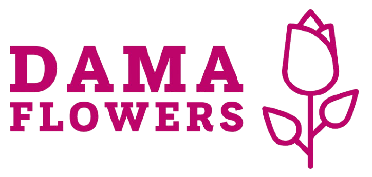 Dama Flowers Dubai